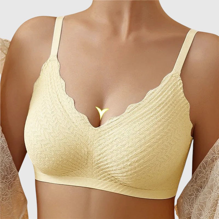 Lyro - SoftSupport Támogatás