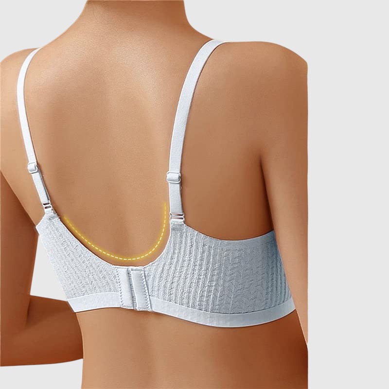 Lyro - SoftSupport Támogatás